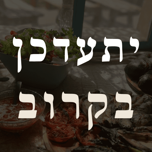 מבחר גבינות