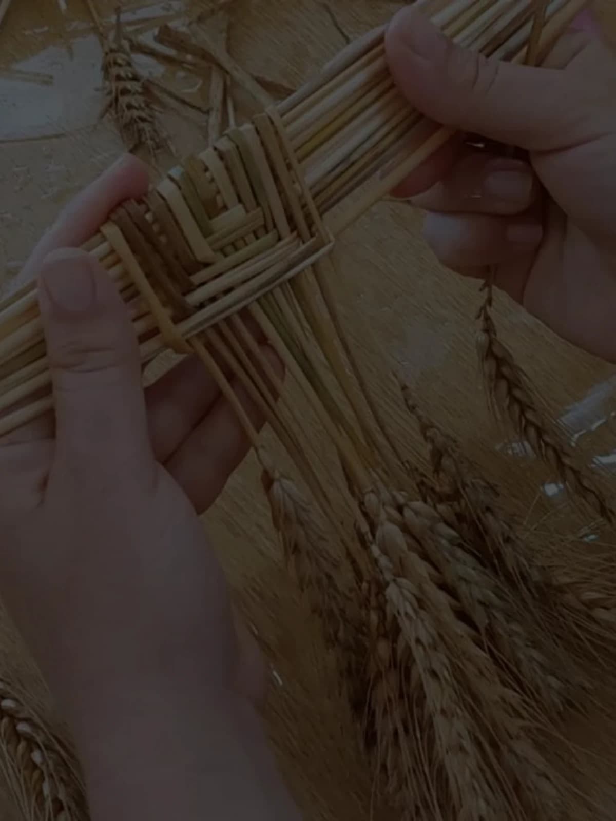 סדנת מקלעות חיטה